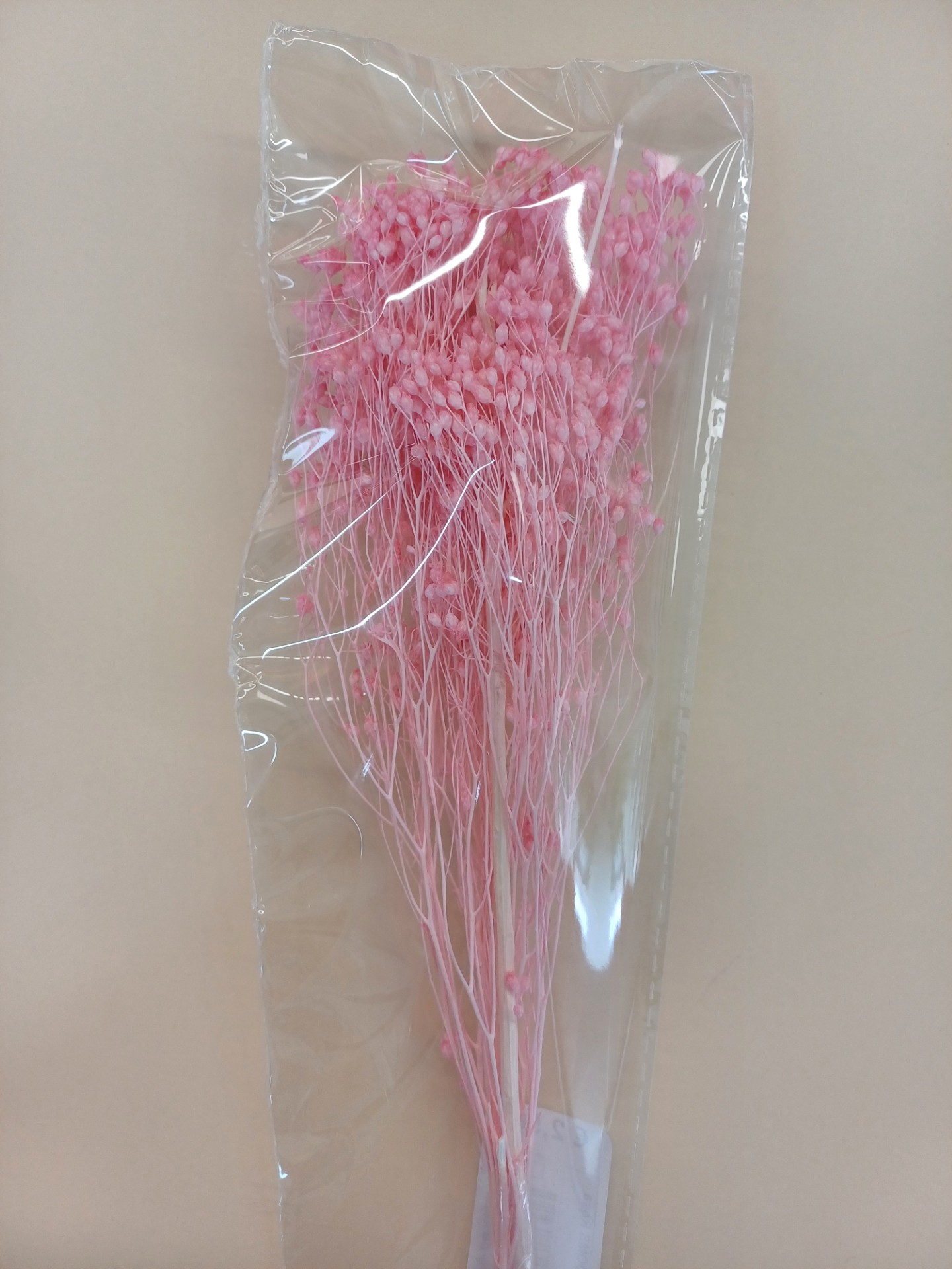 ESCOBAS Fleur Séchée Branche Rose +-10g