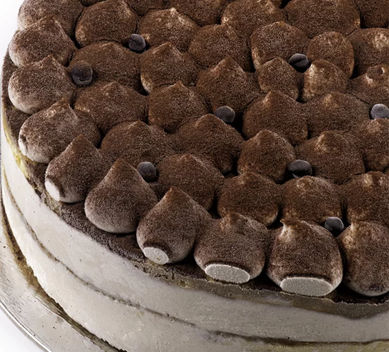 Base Semifreddo avec stabilisateur de saveur Tiramisu Go