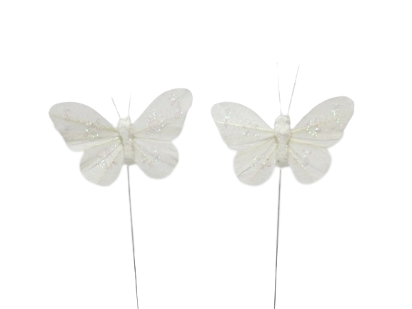 Papillon blanc 6cm boîte 12